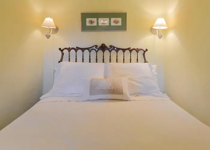 Historic Haven By Fidalsa 别墅